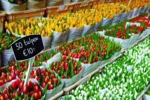 Amsterdã, Holanda, Flores, Mercado - Foto Divulgação (3)