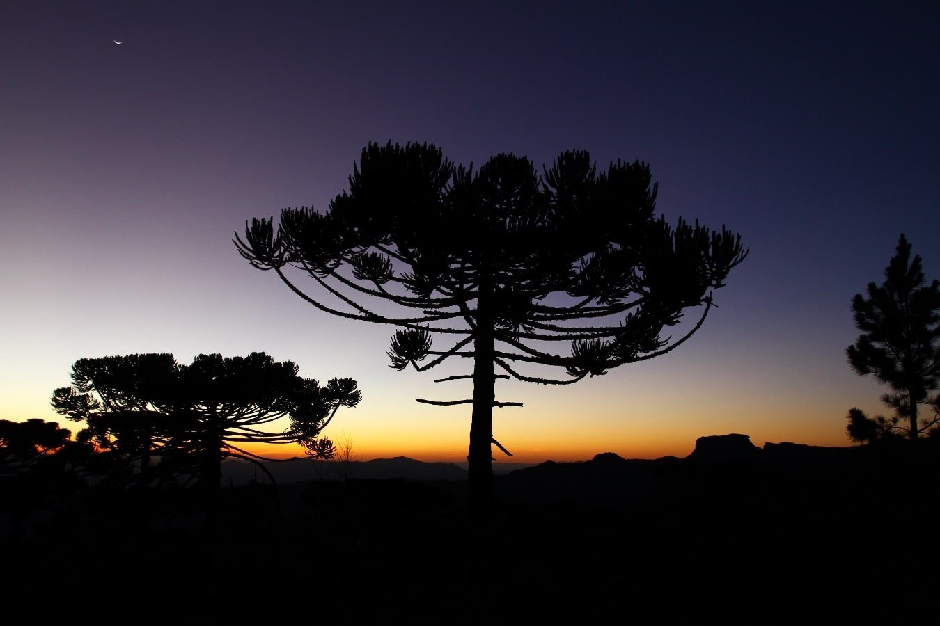 Hotel Serra da Estrela em Campos do Jordão (2023) - Guia de Campos do Jordão