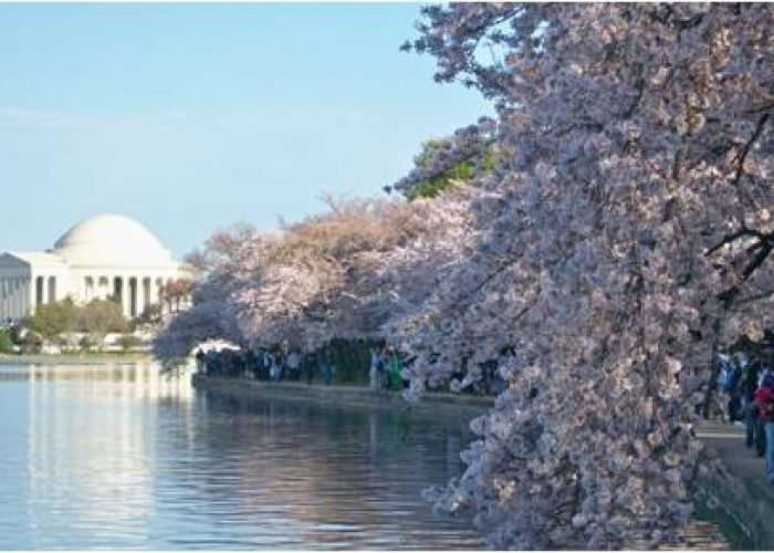 Washington, a capital dos Estados Unidos - Foto: Divulgação